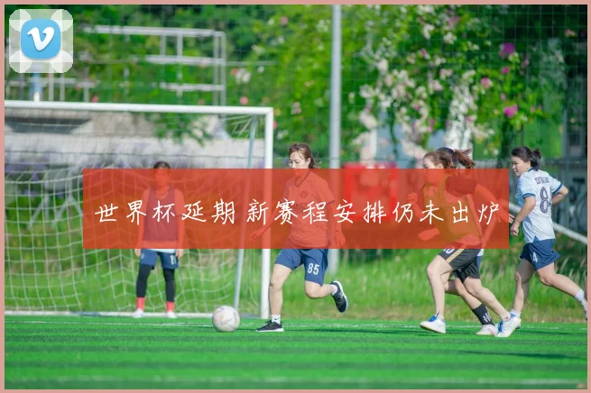 世界杯延期 新赛程安排仍未出炉