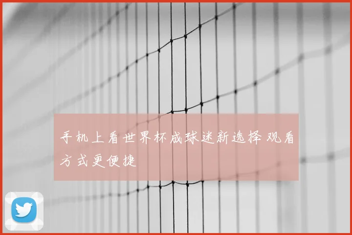 手机上看世界杯成球迷新选择 观看方式更便捷