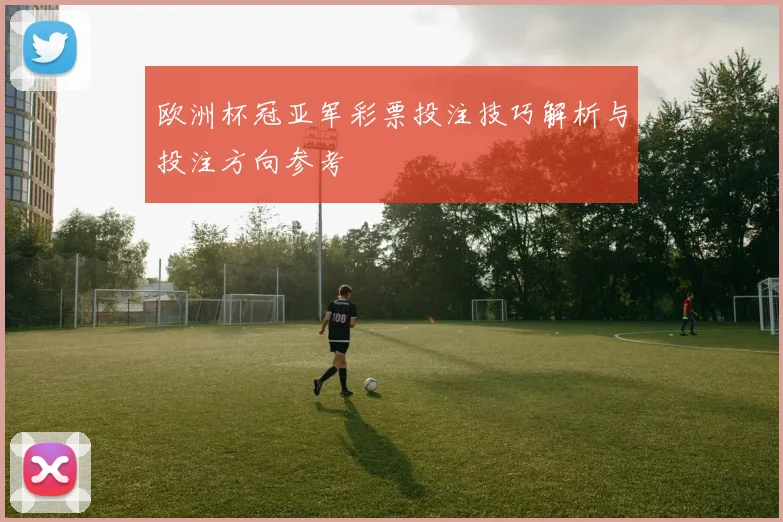 欧洲杯冠亚军彩票投注技巧解析与投注方向参考