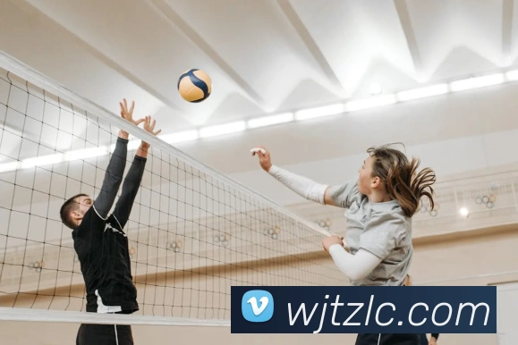 App Interface Preview